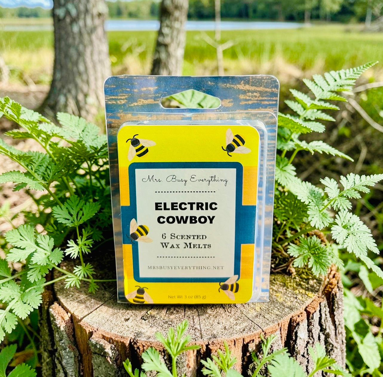 ELECTIC COWBOY WAX MELTS