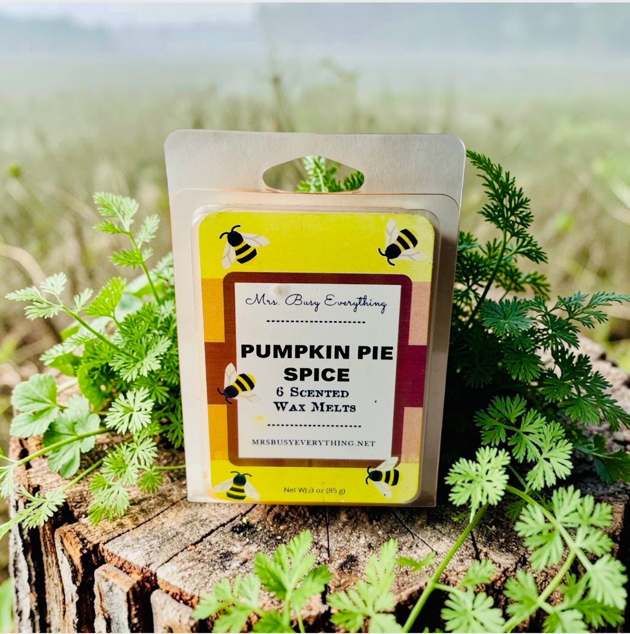 PUMPKIN PIE SPICE WAX MELTS